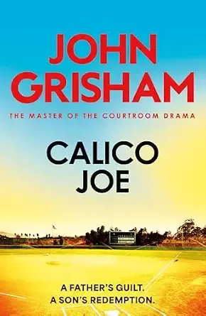 Calico Joe: The unforgettable family drama from the number 1 Sunday Times bestselling author